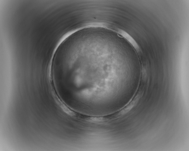 X0000115561052200911131623