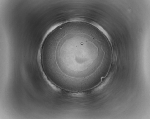 X0000115561053200911131623