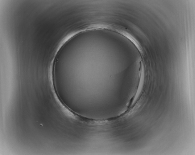 X0000115561055200911131623