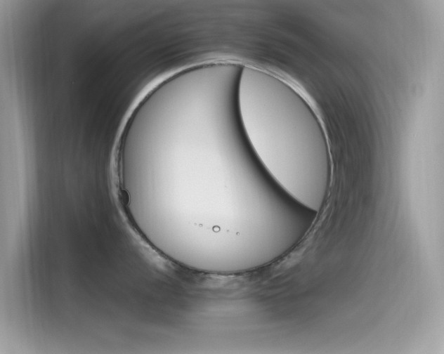 X0000115561056200911131623