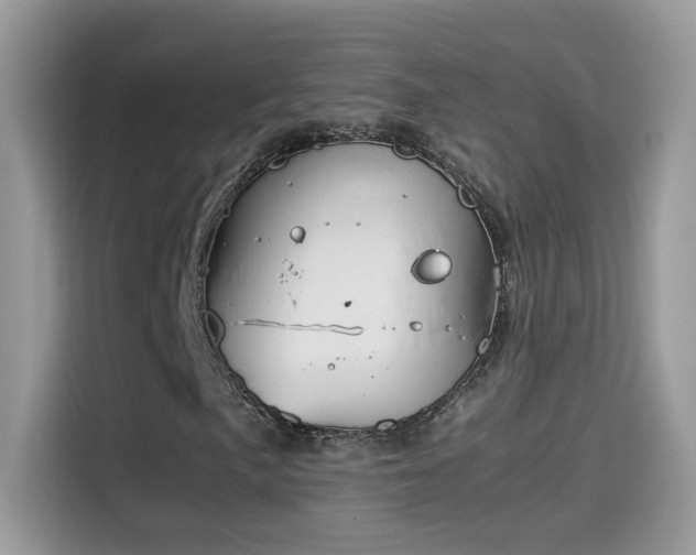 X0000115561057200911131622