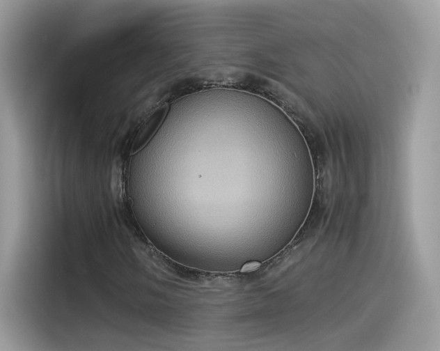 X0000115561058200911131622
