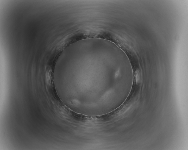 X0000115561059200911131622