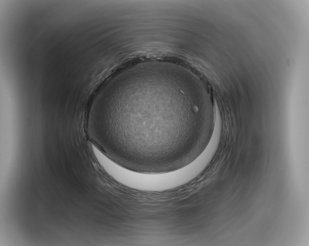 X0000115561060200911131622