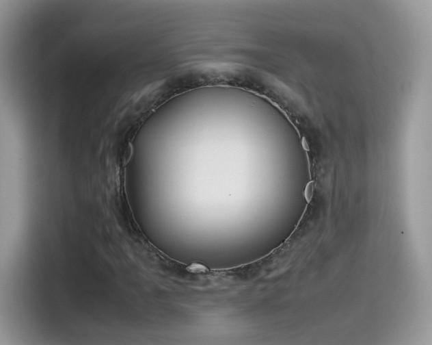 X0000115561061200911131622