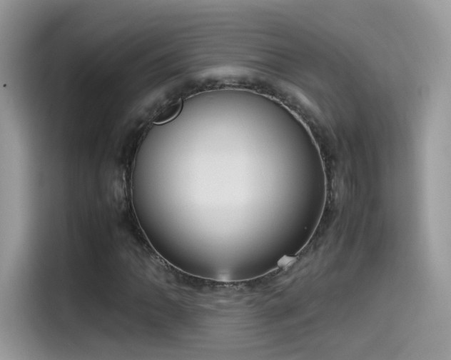 X0000115561062200911131622