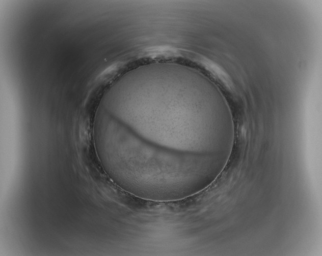 X0000115561063200911131622