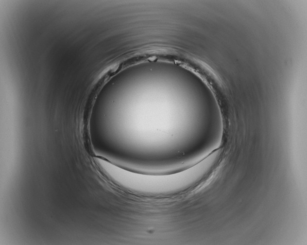X0000115561065200911131622