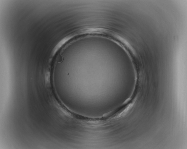 X0000115561066200911131622