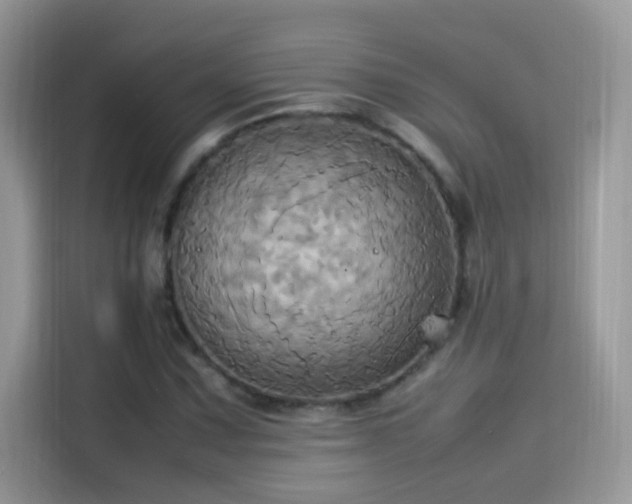 X0000115561067200911131622