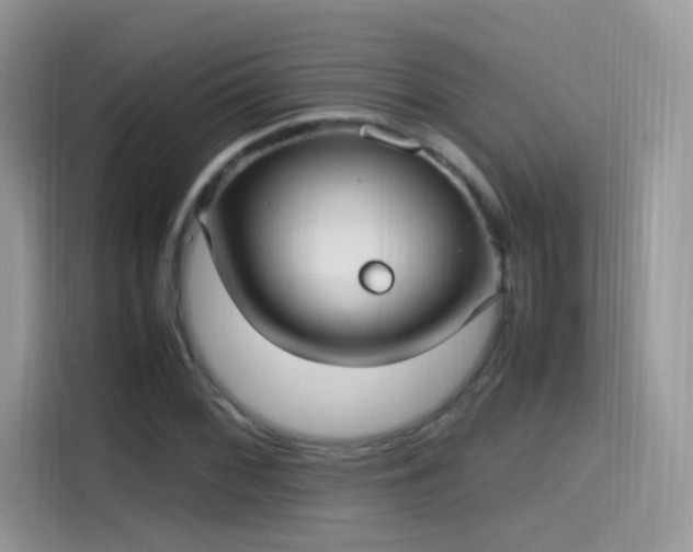 X0000115561068200911131622