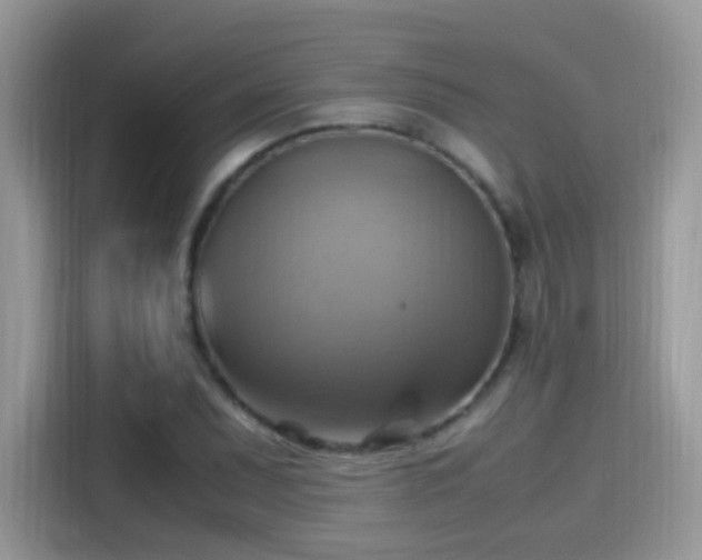X0000115561071200911131622