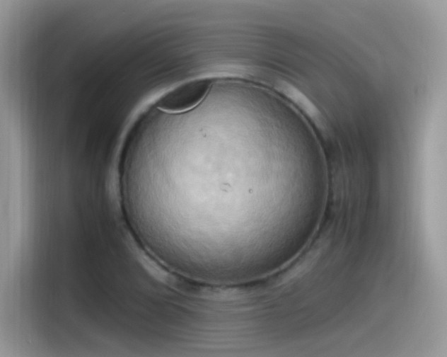 X0000115561072200911131622