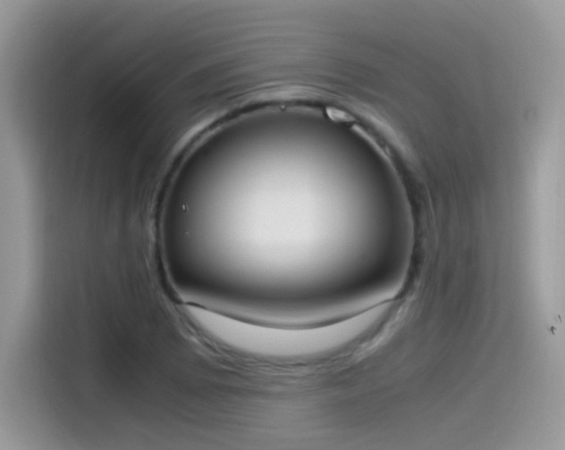 X0000115561073200911131622