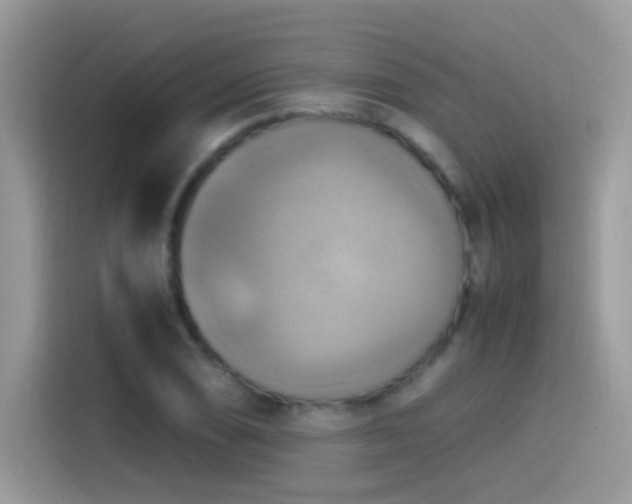 X0000115561074200911131622