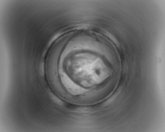 X0000115561075200911131622