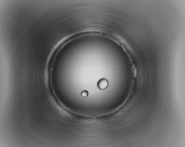 X0000115561076200911131622