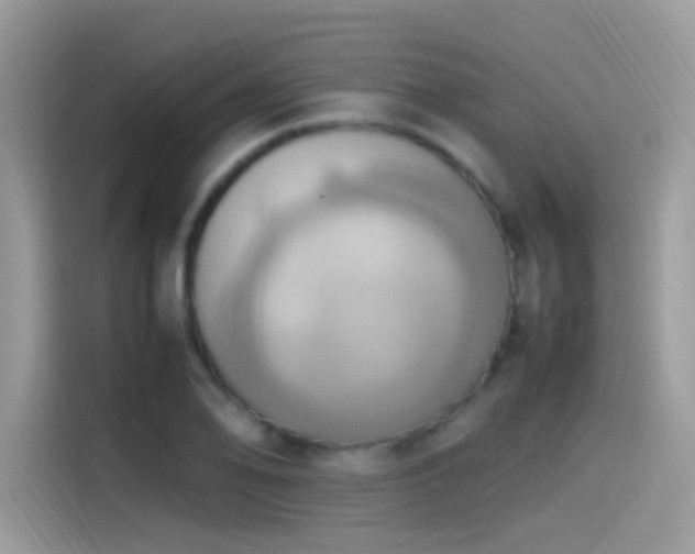 X0000115561078200911131622