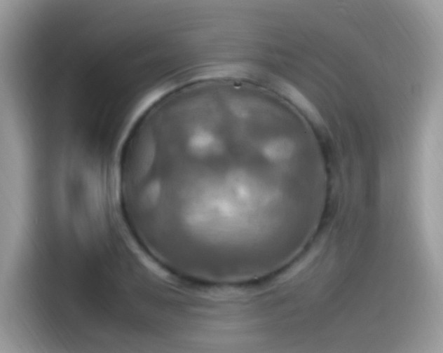 X0000115561079200911131622