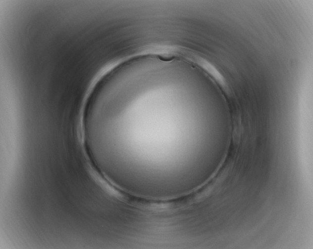 X0000115561080200911131622