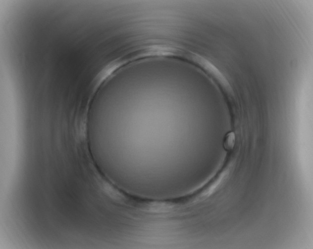 X0000115561081200911131622