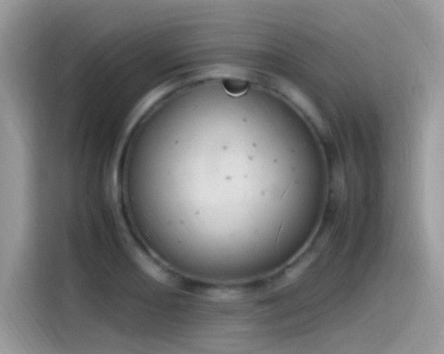 X0000115561082200911131622