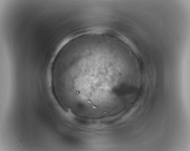 X0000115561083200911131622