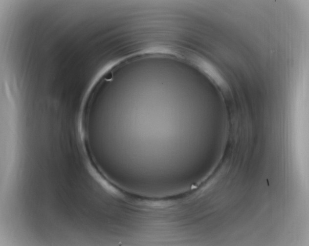 X0000115561084200911131622