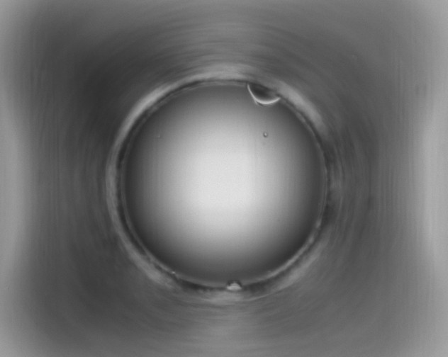 X0000115561085200911131622