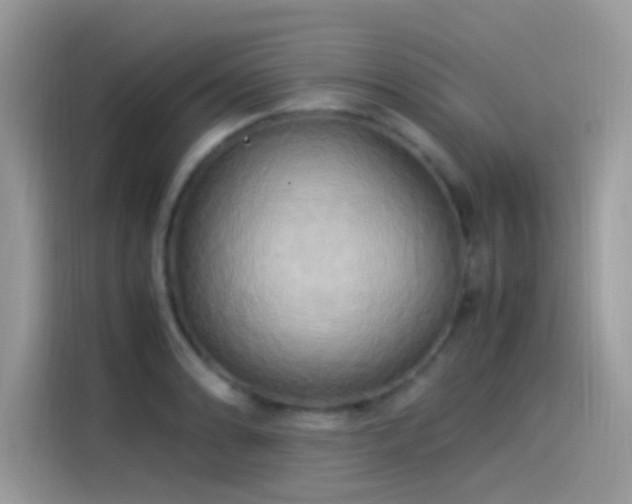 X0000115561086200911131622