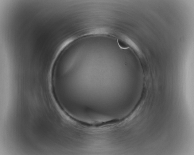 X0000115561087200911131622