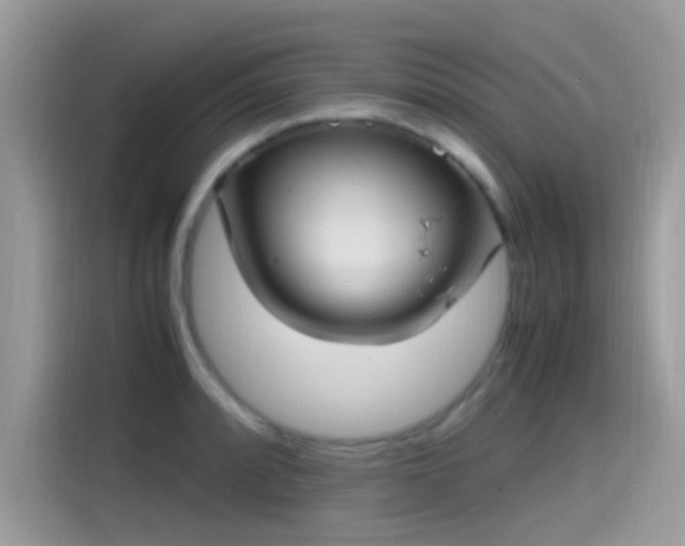 X0000115561088200911131622