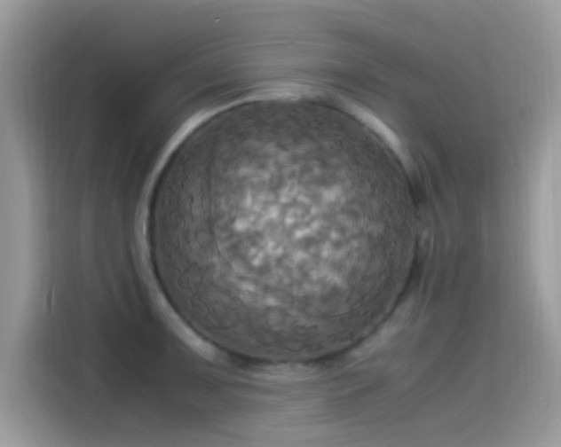 X0000115561091200911131622