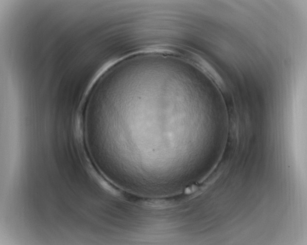 X0000115561092200911131622