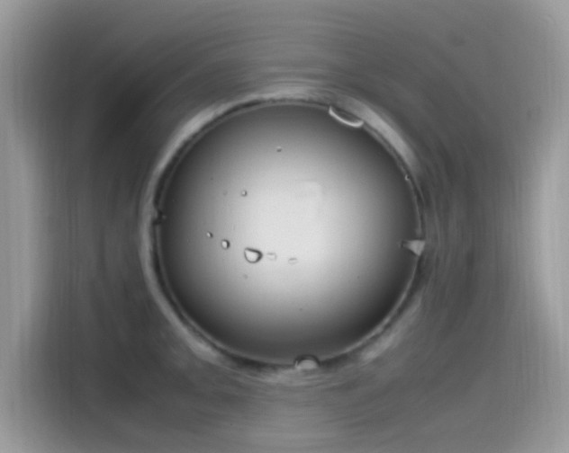 X0000115561093200911131622