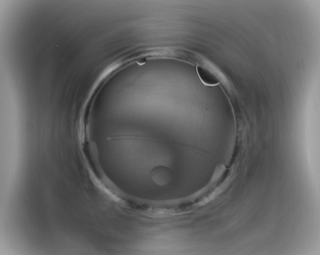 X0000115561095200911131622