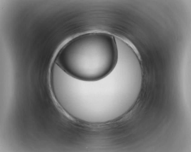 X0000115561096200911131622