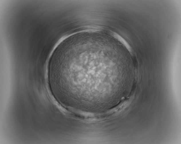 X0000115561099200911131622