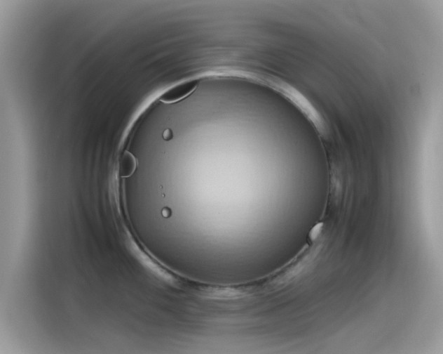 X0000115561100200911131622