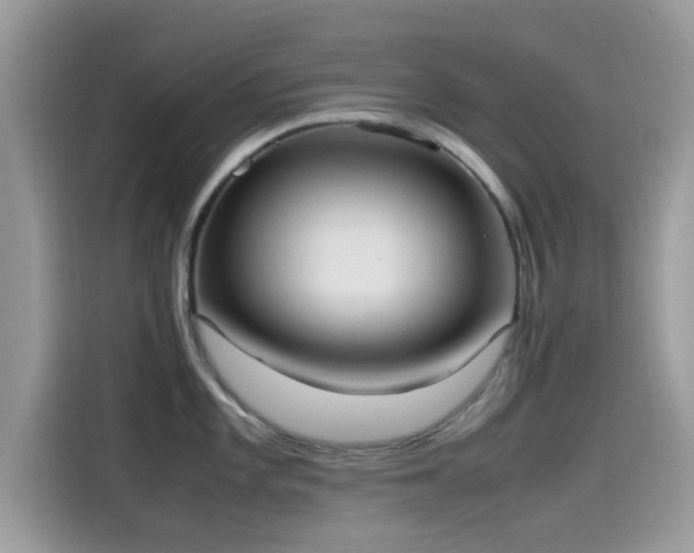 X0000115561101200911131622