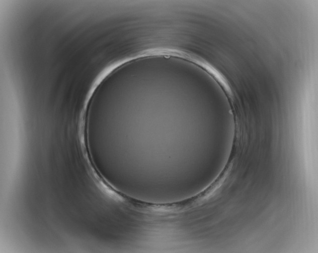 X0000115561102200911131622