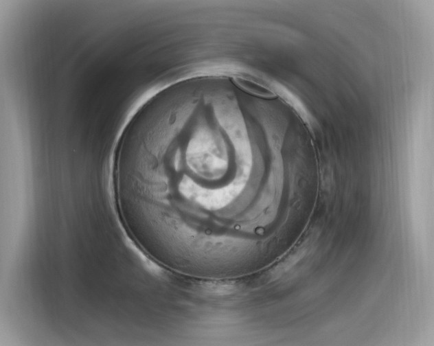 X0000115561103200911131622