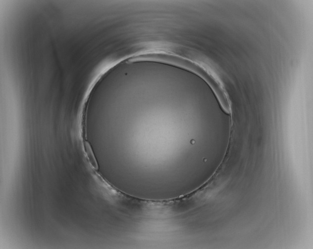 X0000115561104200911131622
