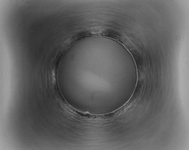 X0000115561106200911131621