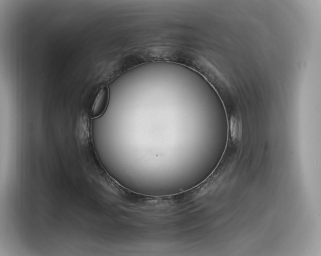 X0000115561107200911131621