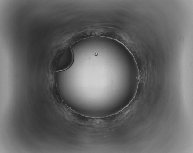 X0000115561109200911131621