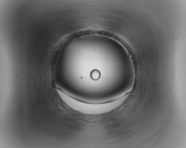 X0000115561110200911131621