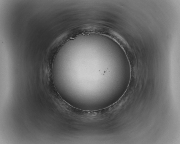 X0000115561111200911131621