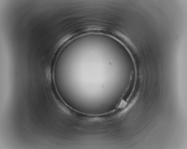 X0000115561113200911131621