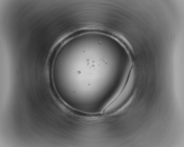 X0000115561114200911131621